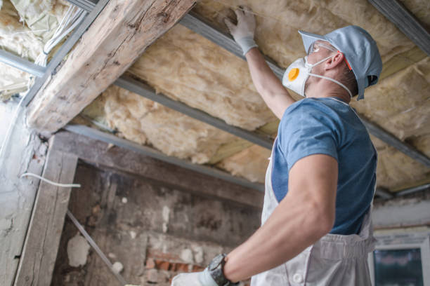 Best Insulation Maintenance and Repair in Adrian, MO