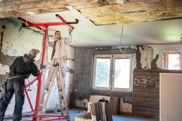 Best Commercial Insulation in Adrian, MO